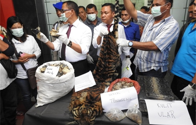 North Sumatra Police and confiscated wildlife